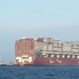 P010.jpg